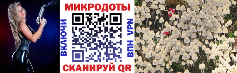 Галлюциногенные грибы мухоморы  купить закладку  ссылка на мегу   Томилино 